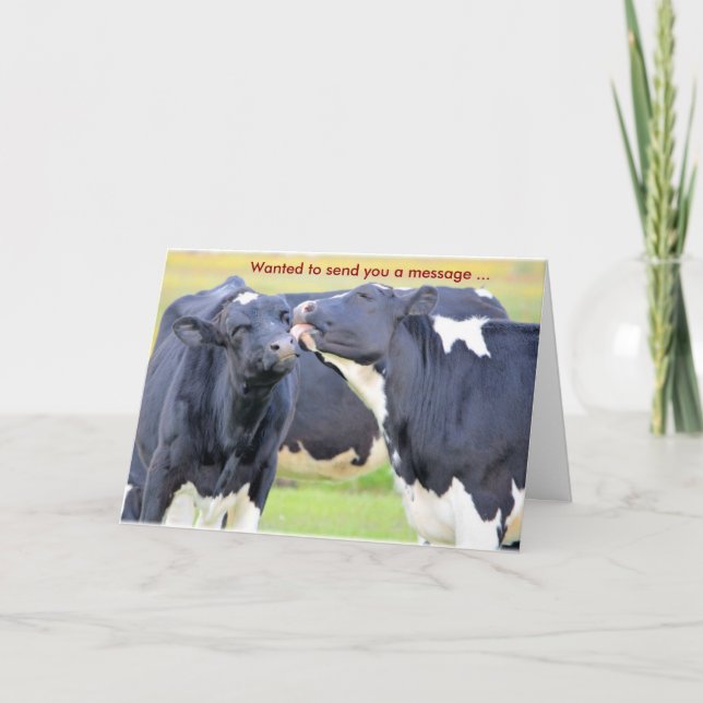 Vaches que je vous aime Carte de voeux (Devant)