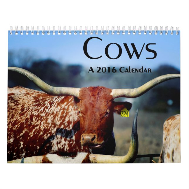 Vaches, un calendrier 2016 (Protection)