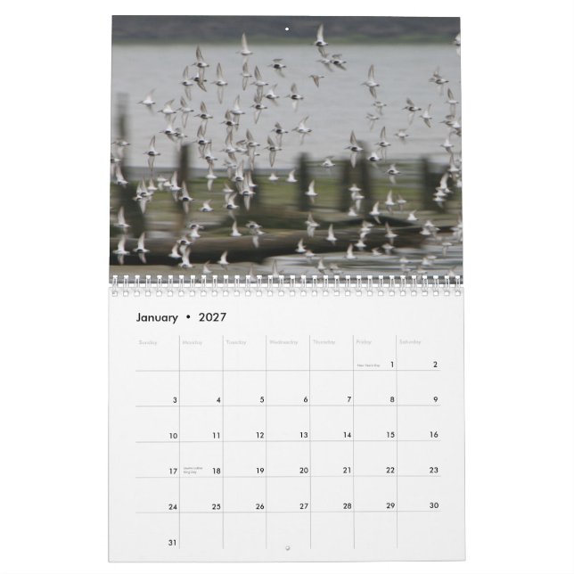 Vagues de Westport - 2013 calendriers surfants (Jan 2027)