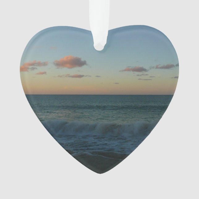 Vagues s'écrasant au paysage de Sunset Beach (devant)