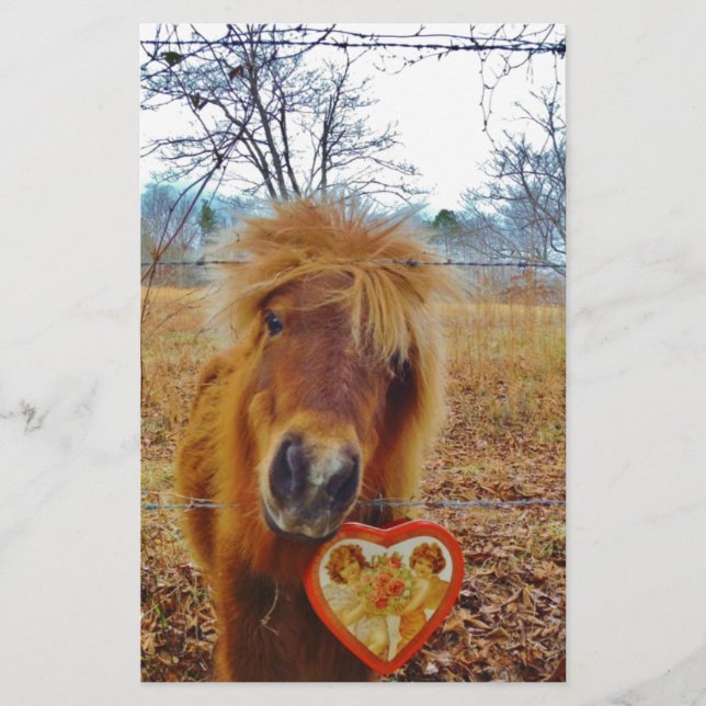 Valentine Heart Miniature Brown Horse (Devant)
