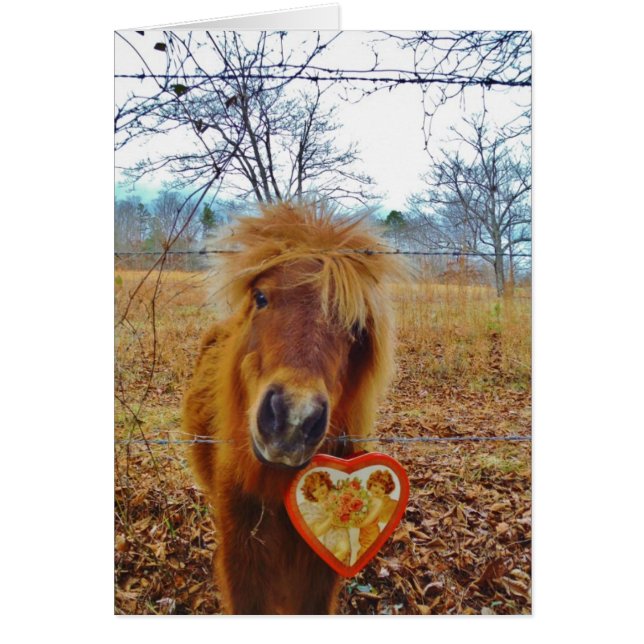 Valentine Heart Miniature Brown Horse (Devant)