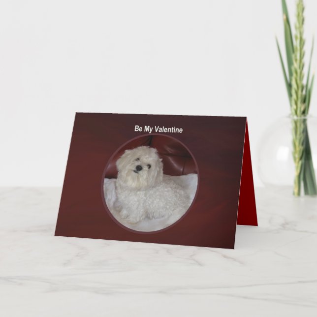 Valentine maltais - vous avez ma carte de coeur (Devant)