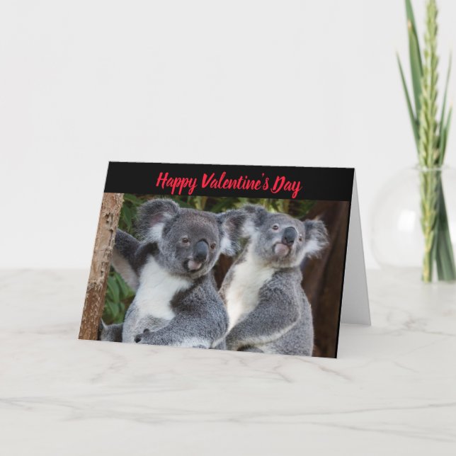 Valentine's Day Koala Bears Carte de vacances (Devant)