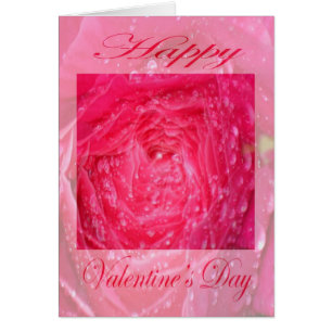 Valentines Roses roses avec gouttes de pluie