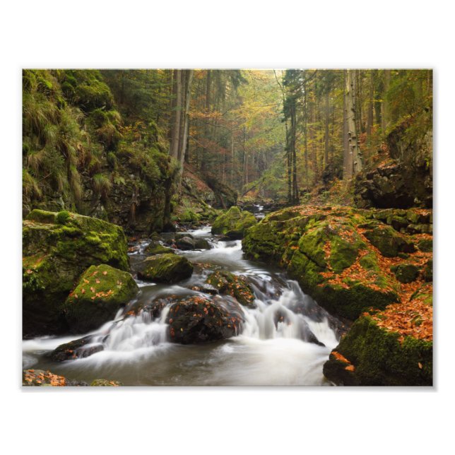 Vallée renversante de copie de photo de Doubrava (Devant)