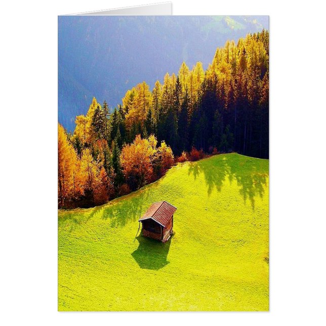 Vallée verte (Devant)