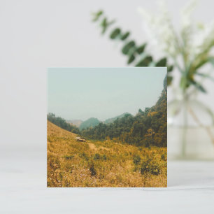 Vallées verdoyantes du Laos