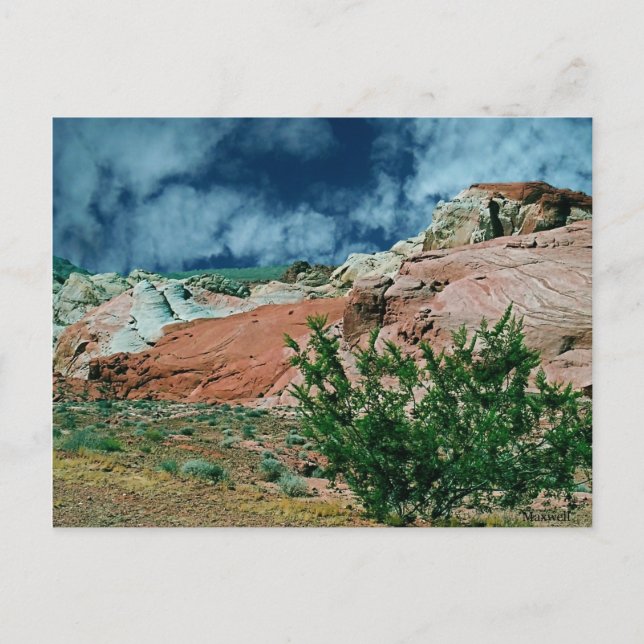Valley of Fire State Park, Nevada, Carte postale (Devant)