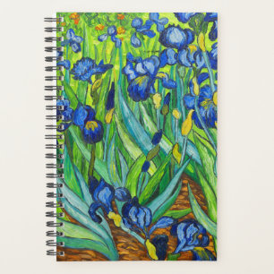 Van Gogh Irises