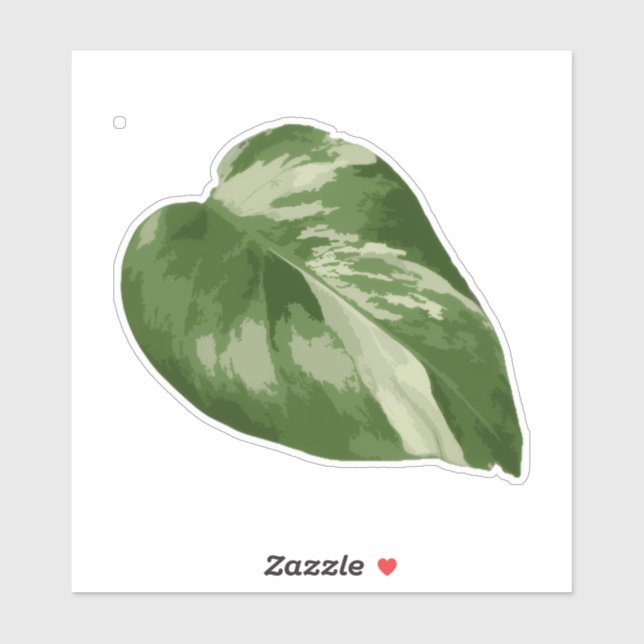 Variegated Monstera Sticker – Clear Cut Leaf (Feuille)