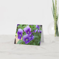 Variété intérieure de cartes de note de blanc de