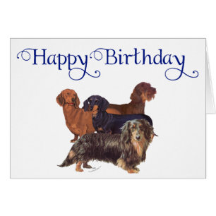 Variétés Dachshund