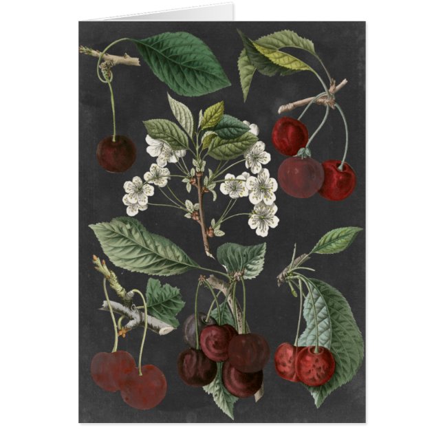 Variétés de verger I (Devant)