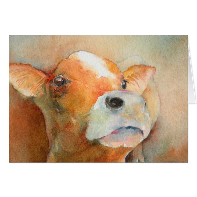 Veau curieux (Devant horizontal)