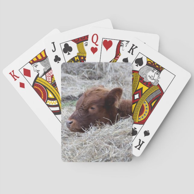 Veau mignon de bébé, cartes de jeu animales de (dos)