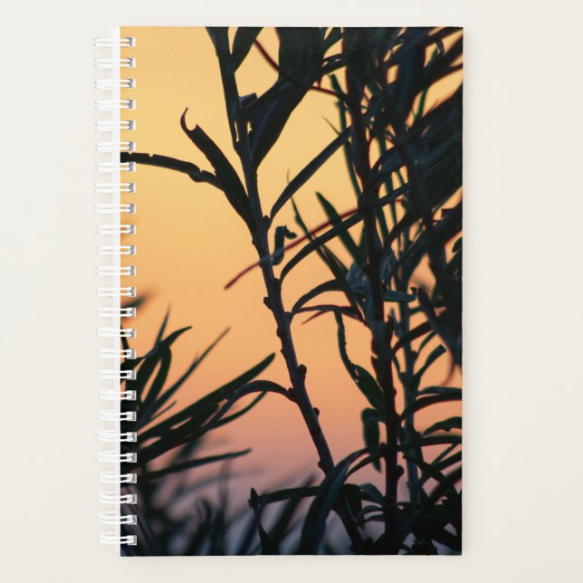 Végétation au coucher du soleil (Devant)