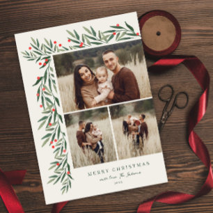 Végétation hivernale ivoire 3 Photo Noël