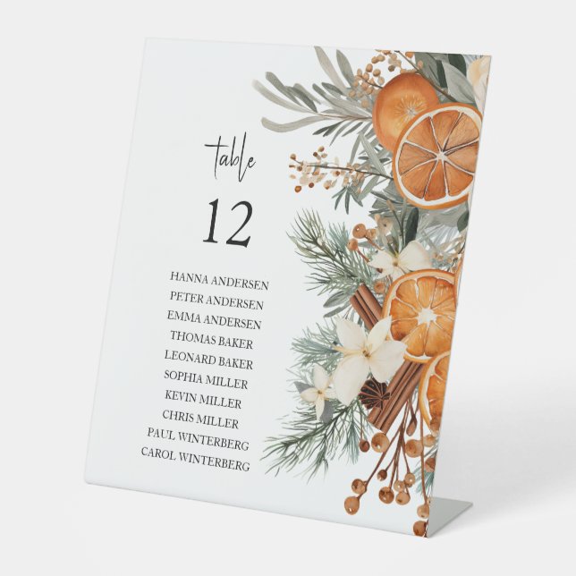 Végétation hivernale Tableau de bord Panneau supér (Recto)