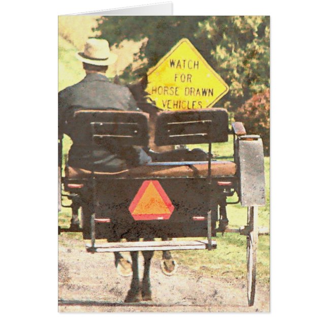 Véhicules tractés à cheval, Cheval Amish et Buggy (Devant)