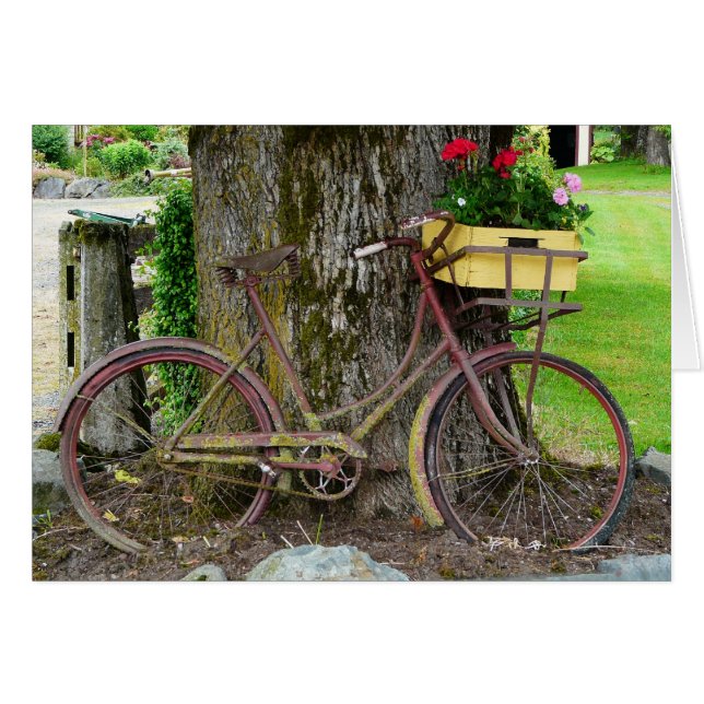 Vélo ancien ancien avec panier à fleurs (Devant horizontal)