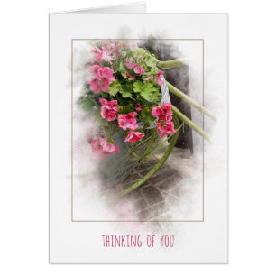 vélo avec des géraniums pensant à vous