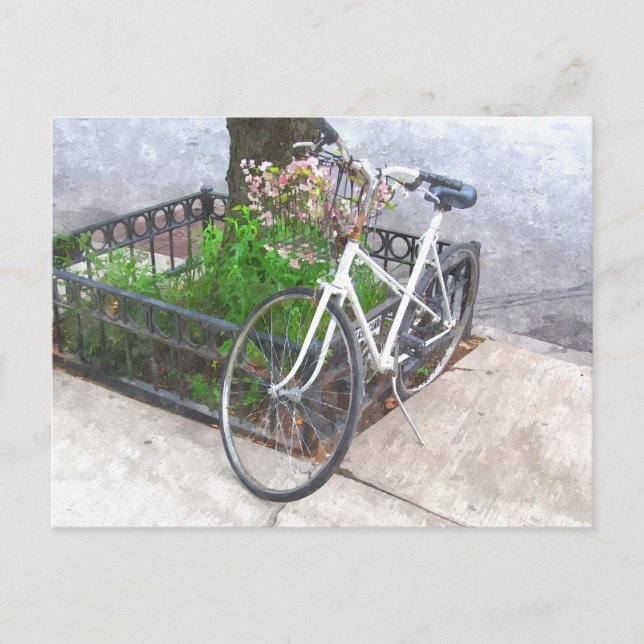 VÉLO AVEC PANIER DE FLEURS CARTE POSTALE (Devant)