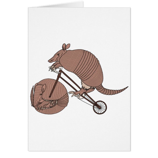 Vélo d'équitation de tatou avec la roue de tatou (Devant)
