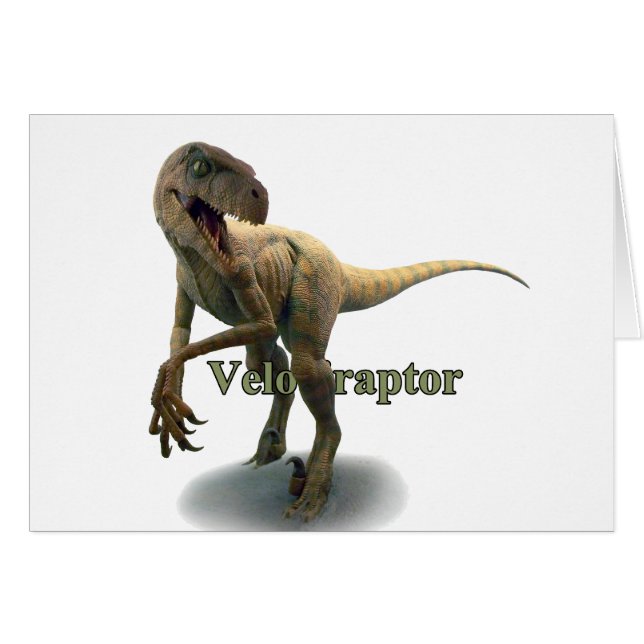 Velociraptor (Devant horizontal)