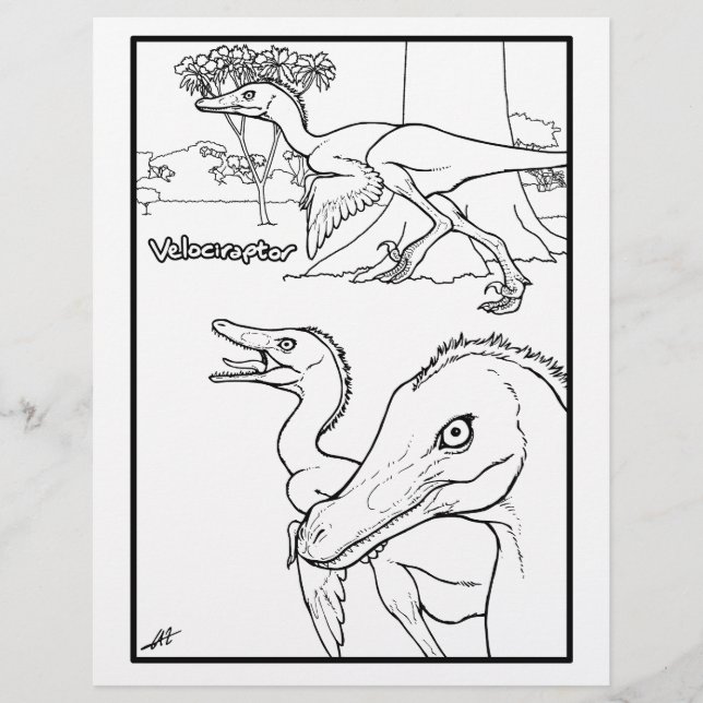 Velociraptor - Page de coloriage. (Devant)