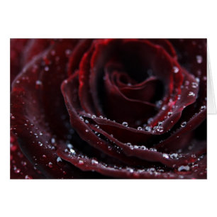 Velours rouge
