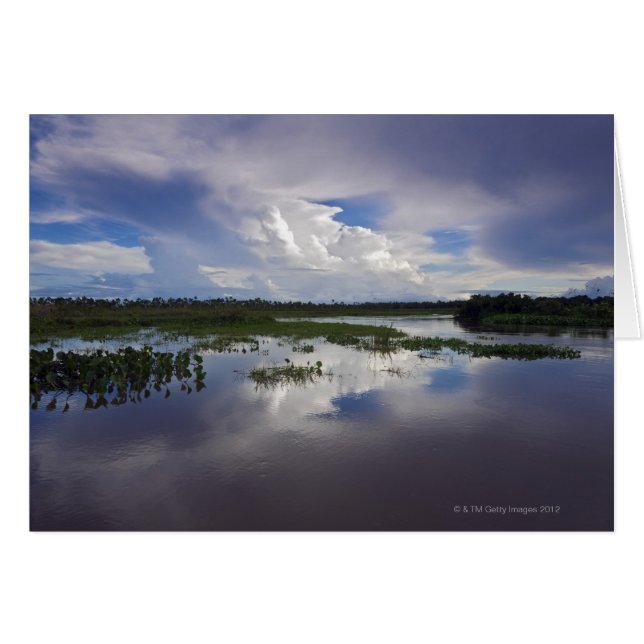 Venezuela, Delta Amacuro, Delta de l'Orinoco (Devant horizontal)