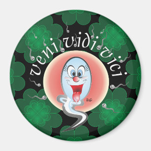 veni vedi vici aimant