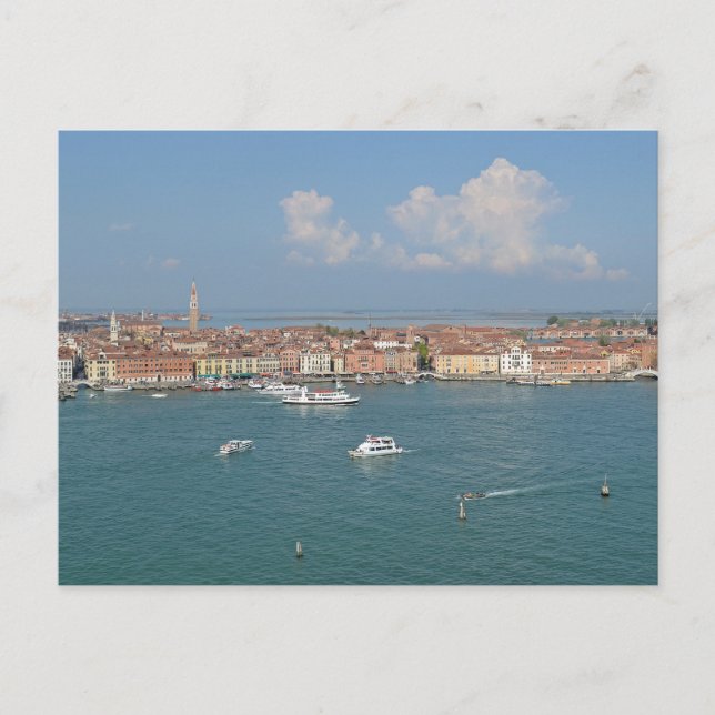 Venise Oiseaux Vue Voyage Carte postale (Devant)