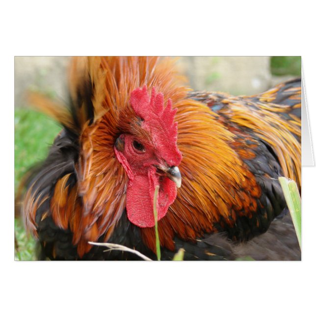 Vent (Devant horizontal)