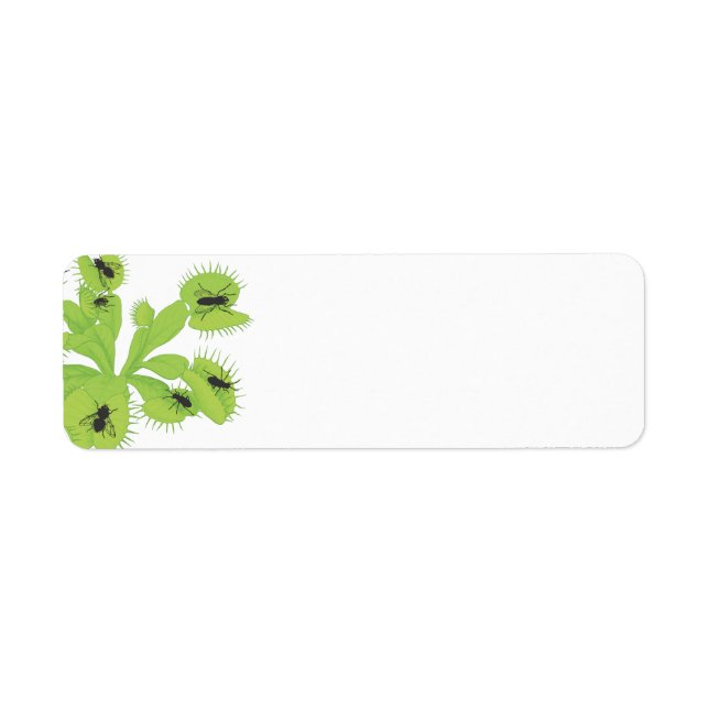 Vénus Flytrap avec Étiquettes de mouches (Devant)