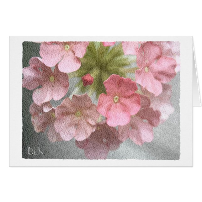 Verbène rose/Art Floral/Aquarelle (Devant Horizontal)