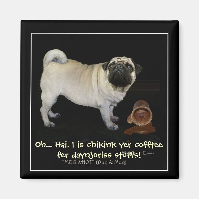 "Vérifier votre café..." Magnets amusants (Devant)