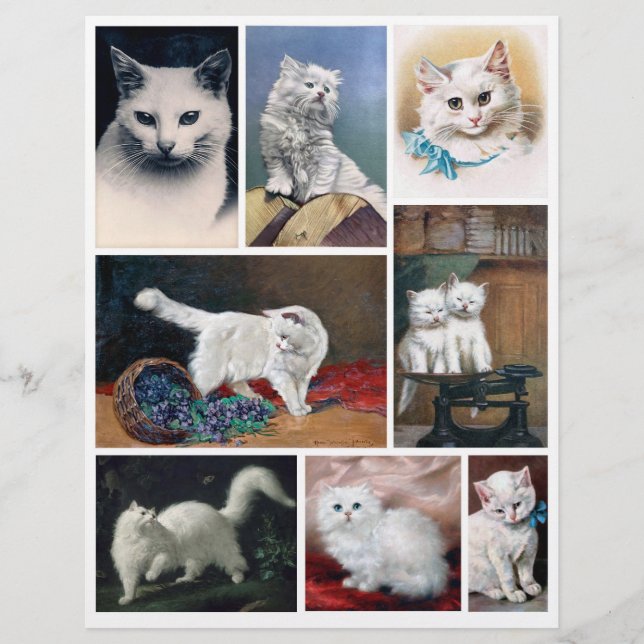 Véritables images de chats blancs (pas d'IA) de l' (Devant)