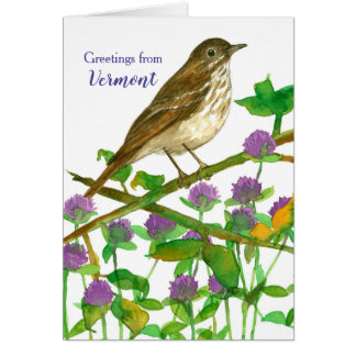 Vermont Hermit Thrush Clover Bonjour ami