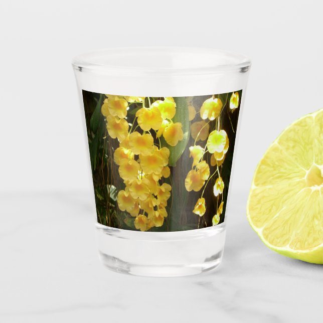Verre A Shot Accrocher les orchidées jaunes Fleurs tropicales (Devant)