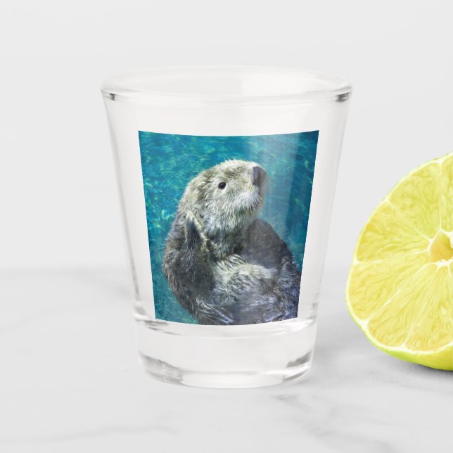 Verre A Shot Adorable Mer Otter Cute Eau Bleue (Devant)
