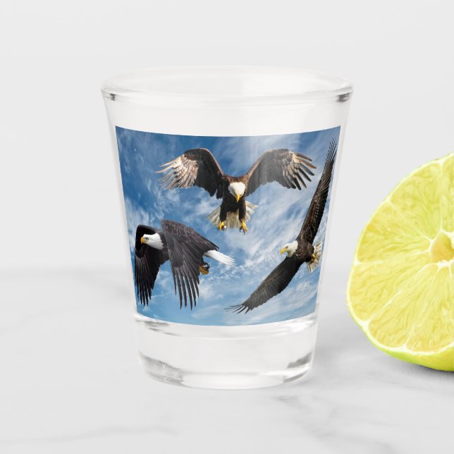 Verre A Shot Aigle à tête blanche (Devant)