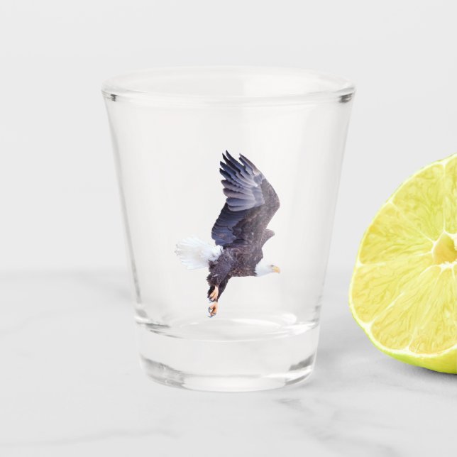 Verre A Shot Aigle de Bald (Devant)