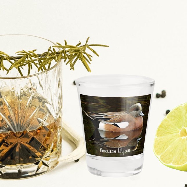 Verre A Shot American Wigeon Duck on Pond (In Situ)