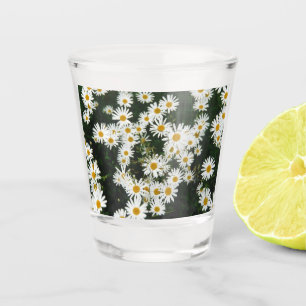 Verre A Shot Basière à oeil blanc, prairie à marguerite de la l