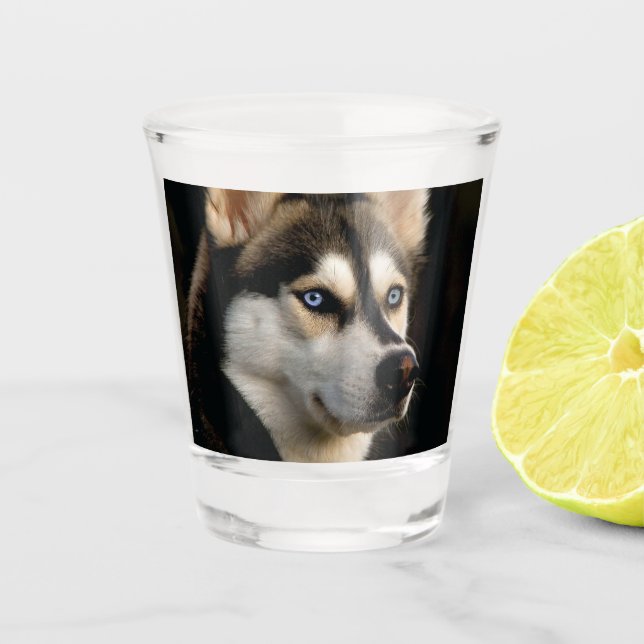 Verre A Shot Beau Oreiller Husky Lrow (Devant)
