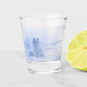 Verre A Shot Beau renard arctique