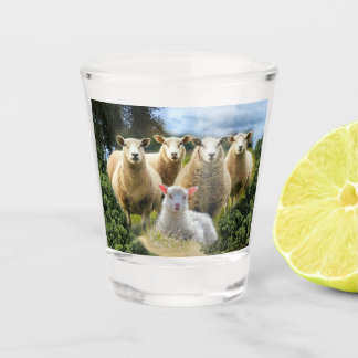 Verre A Shot Bébé agneau mouton troupeau troupeau troupeau
