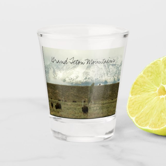 Verre A Shot Bison à Grand Teton National Park Photographie (Devant)